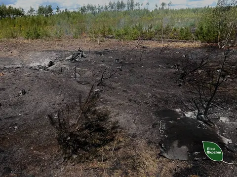 84 гектари лісу вигоріли за тиждень: 95% пожеж — через війну