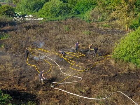 Торфовища на Львівщині тліють: ДСНС бореться з прихованими осередками вогню