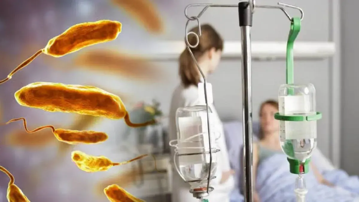 Бактерії Vibrio у Балтійському морі: що загрожує відпочивальникам