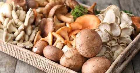 Заморожування грибів: які види можна сирими, а які — ні