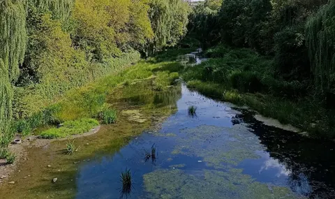 Чому обмілів Серет у Тернополі: що відомо