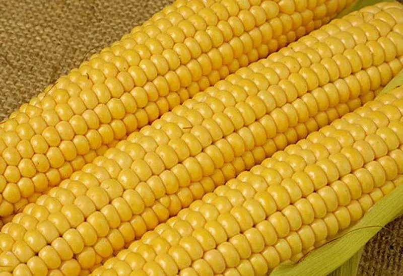 7 продуктів із більшим вмістом клітковини, ніж кукурудза: що варто додати до раціону