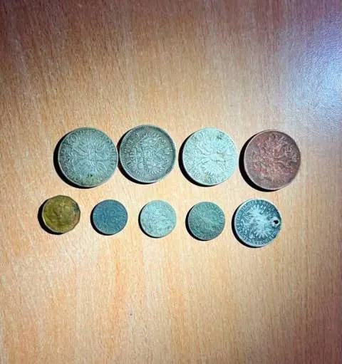 Старовинні монети виявили у жінки на кордоні з Польщею