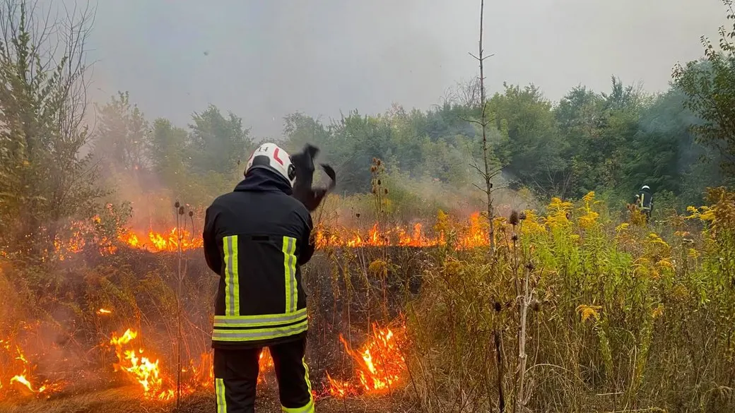 Вісім пожеж за добу: Черкащина потерпає від вогню в екосистемах