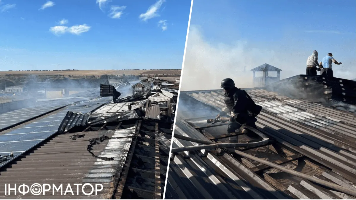 Удар по птахофермі на Одещині: що це означає для продовольчої безпеки регіону