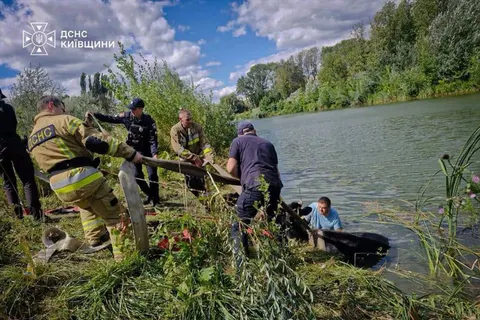 На Росі врятували корову, яка впала у воду та не могла вибратися