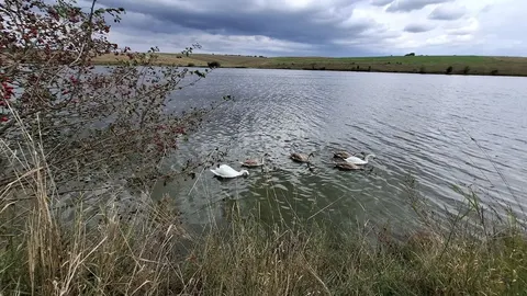 Водокористувачі Тернопільщини потрапили під обмеження через маловоддя