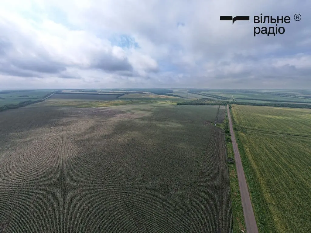 Війна зруйнувала агросектор Донеччини: 504 підприємства пошкоджено, збитки — 11,8 млрд грн