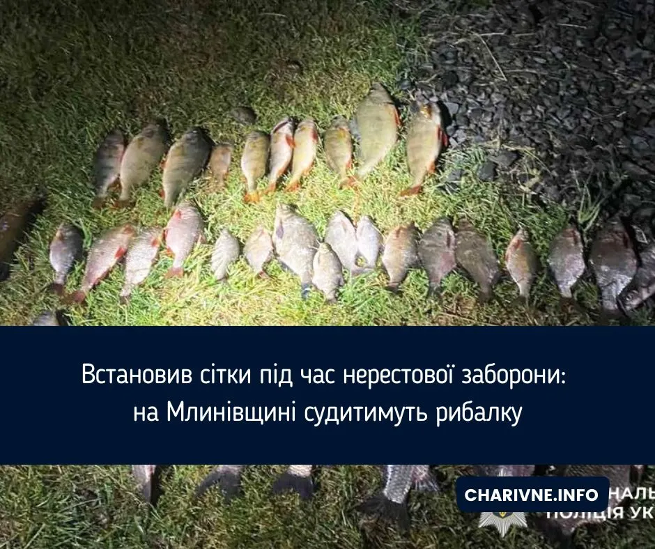Нерестова заборона: жителя Млинівщини судитимуть за незаконний вилов риби