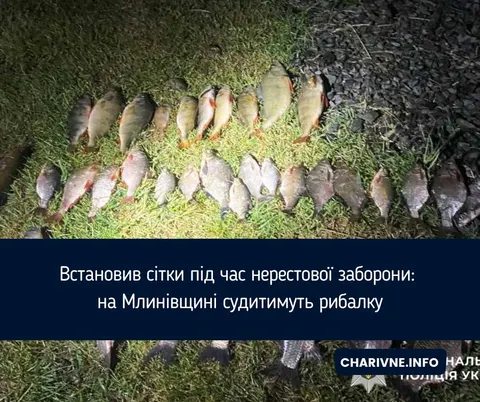 Нерестова заборона: жителя Млинівщини судитимуть за незаконний вилов риби