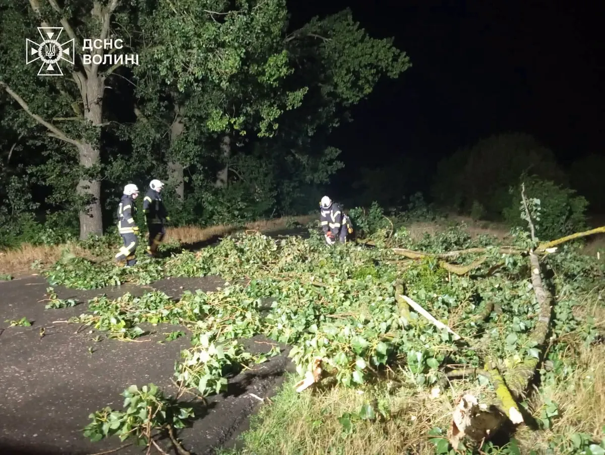 На Волині рятувальники розчистили дорогу після негоди