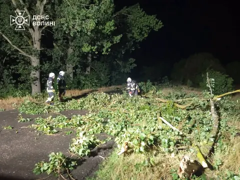 На Волині рятувальники розчистили дорогу після негоди