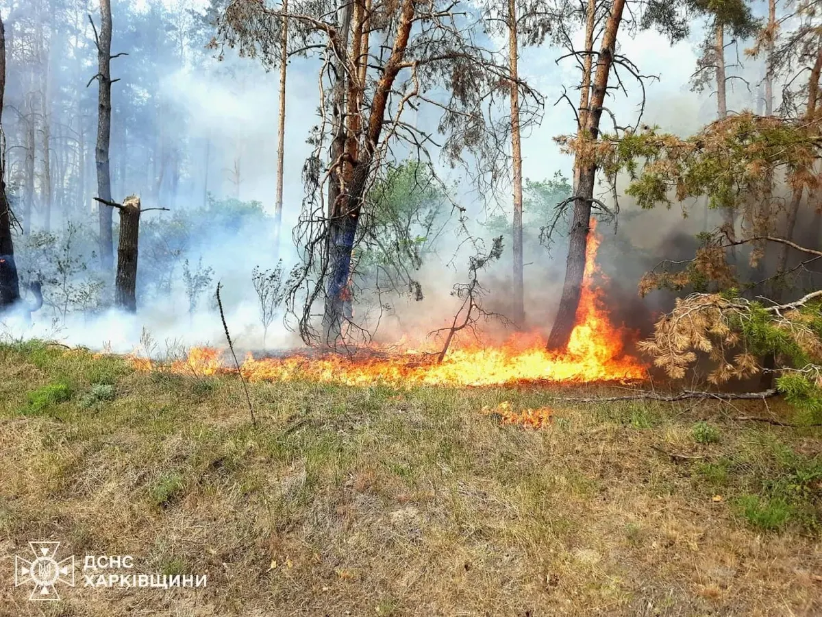 На Харківщині оголосили надзвичайний рівень пожежної небезпеки