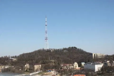 У Львові через сказ кота ввели карантин: що відомо