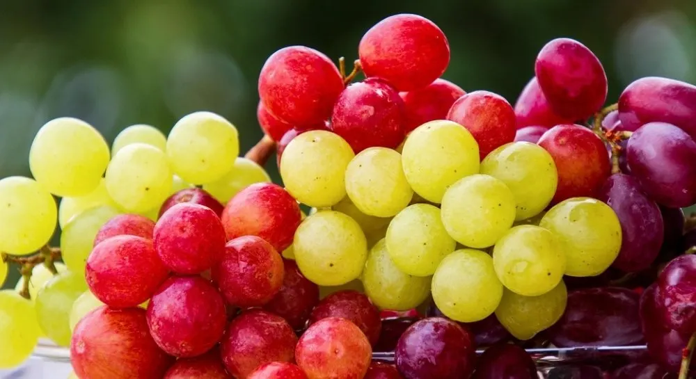 11 продуктів з антиоксидантами: що додати до раціону для здоров'я серця і мозку