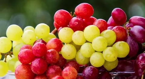 11 продуктів з антиоксидантами: що додати до раціону для здоров'я серця і мозку