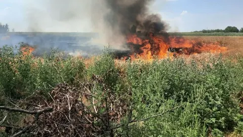 Наслідки обстрілів Запоріжжя: сім пожеж за добу, знищено боєприпас
