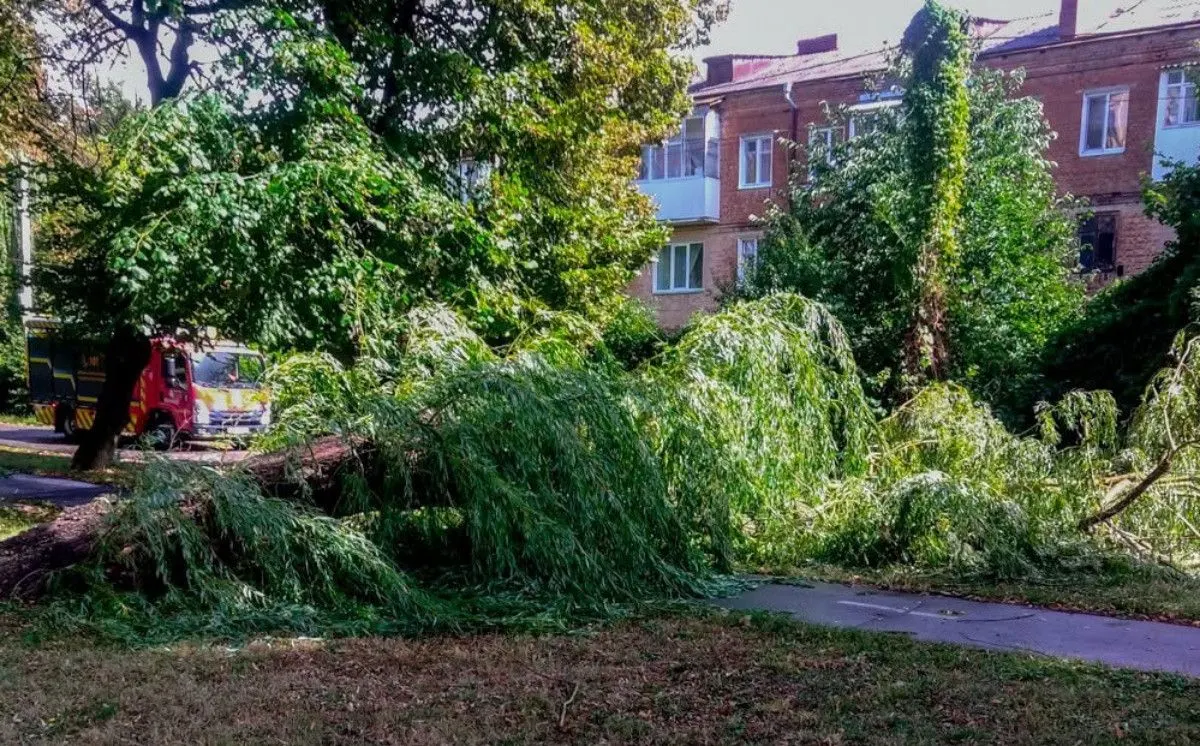 Шість виїздів за добу: як рятувальники розчищали дороги Вінниччини після негоди