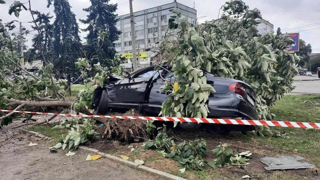 У Кропивницькому водій зніс дерево на площі Хмельницького та втік