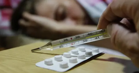 Гарячка Західного Нілу в Україні: перші випадки зафіксовано у двох областях