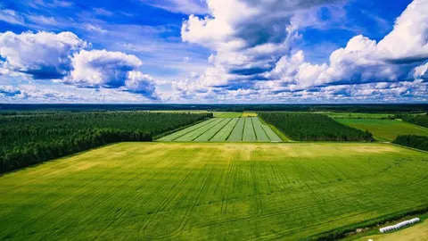 Земельні афери в Україні: як не втратити гроші при купівлі паю