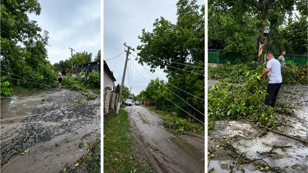Негода на Кіровоградщині: 10 населених пунктів без світла