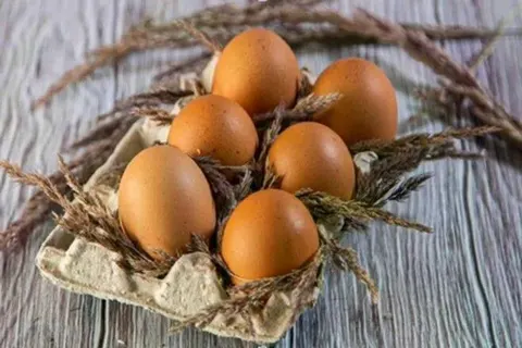 Як обрати свіжі яйця в супермаркеті: гід за маркуванням та ознаками