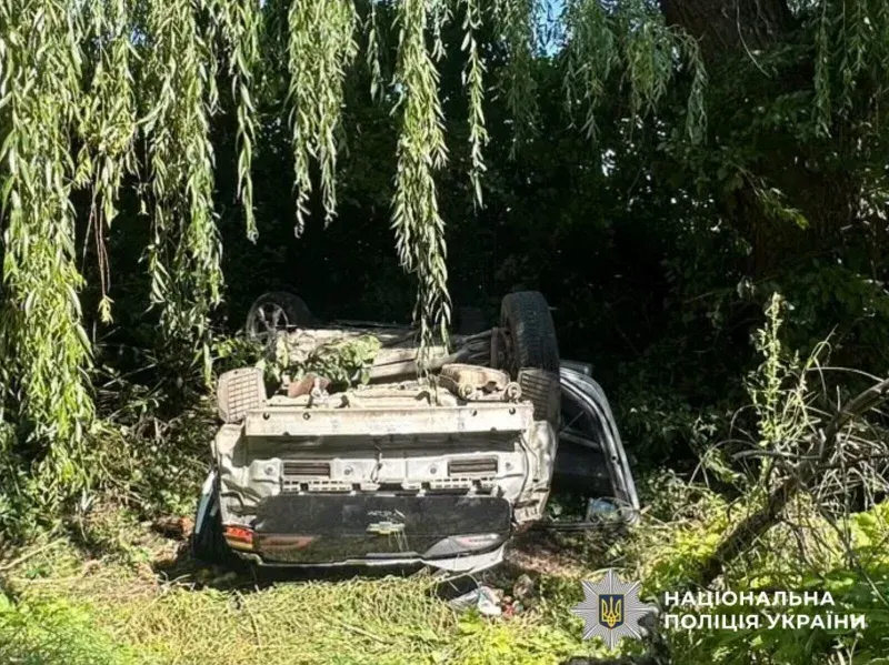 На Буковині ДТП: троє молодих людей постраждали, автівка злетіла в кювет