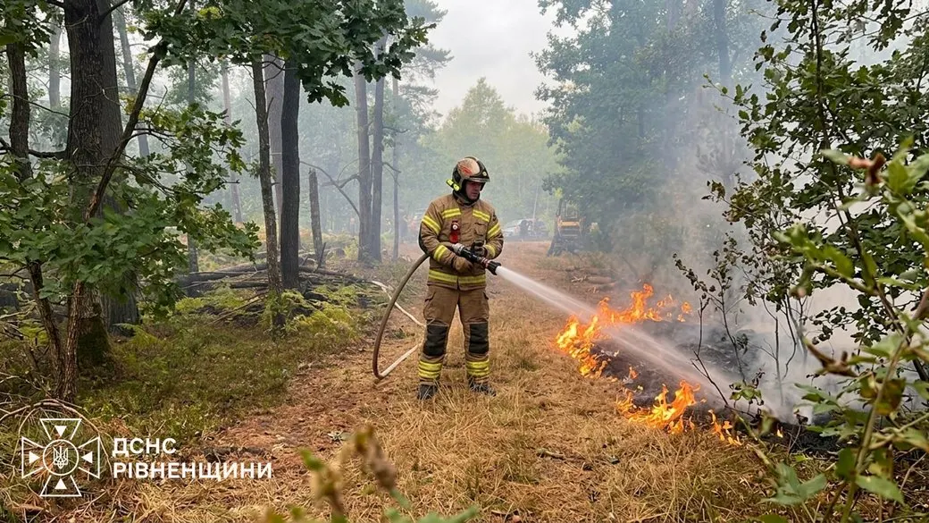 На Рівненщині пожежі в лісах охопили втричі більшу площу, ніж торік