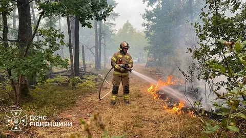 На Рівненщині пожежі в лісах охопили втричі більшу площу, ніж торік