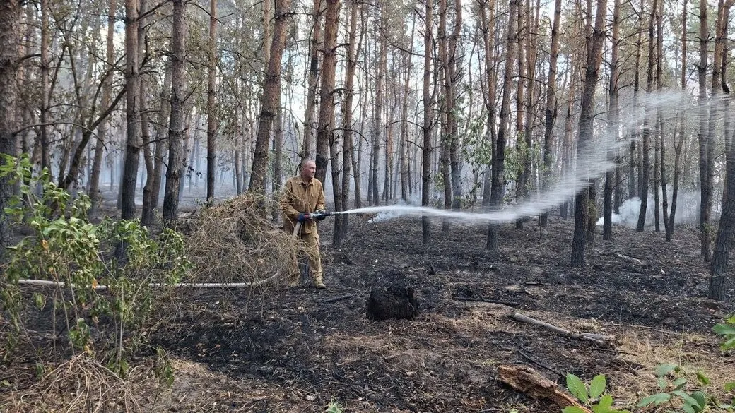 Пожежа на Черкащині: понад 120 га лісу знищено, збитки рахують