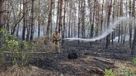 Пожежа на Черкащині: понад 120 га лісу знищено, збитки рахують