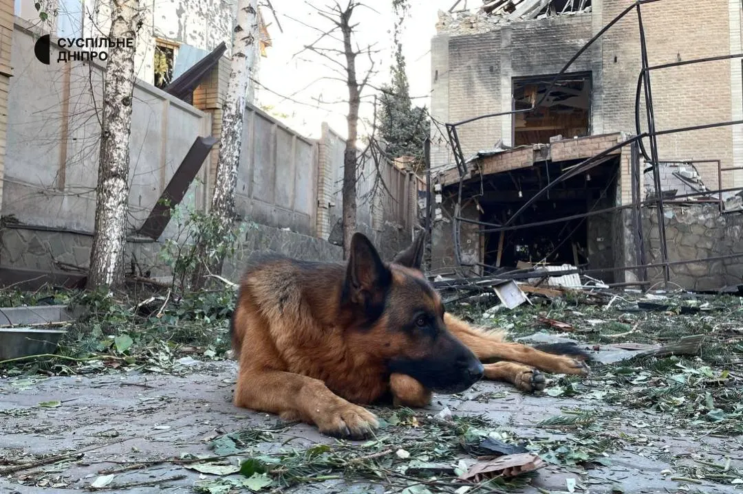 Атака безпілотників на Кривий Ріг: постраждали п'ятеро, пошкоджено десятки будинків