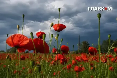 В Україні різко похолодає: прогноз на вихідні