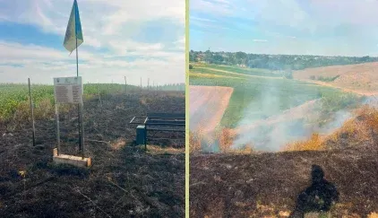На Буковині втретє згоріли дуби, висаджені на честь полеглих захисників
