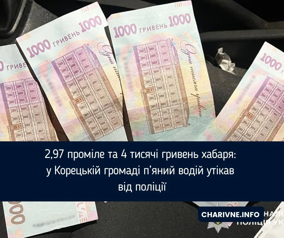 П’яний водій у Корецькій громаді тікав від поліції і пропонував хабаря