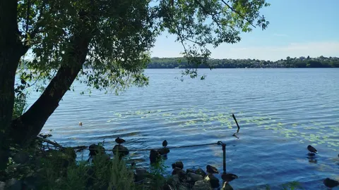Тернопільщина: 19 серпня буде тепло, але хмарно