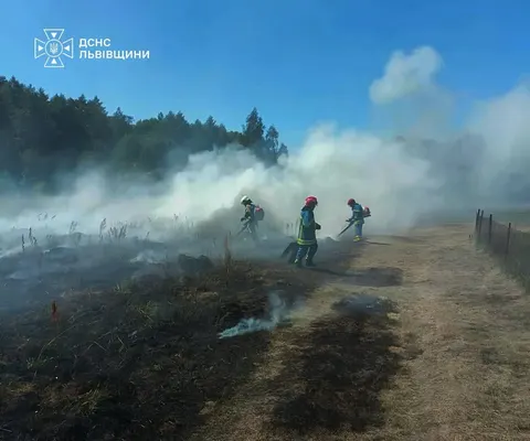 Спалювання сухостою на Львівщині: 45 пожеж за добу та загроза торфовищ
