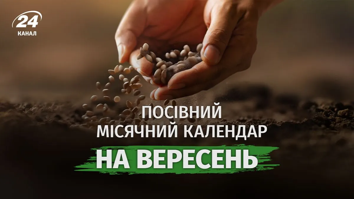 Посівний календар на вересень: коли садити, а коли краще утриматися