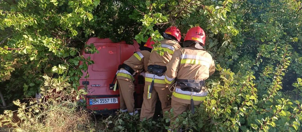 ДТП на Миколаївщині: «Таврія» врізалася в дерево, двоє жінок у лікарні