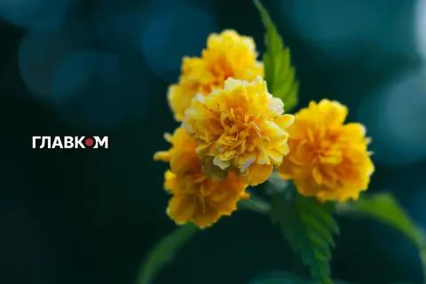 Осіннє похолодання в Україні: коли чекати зниження температури