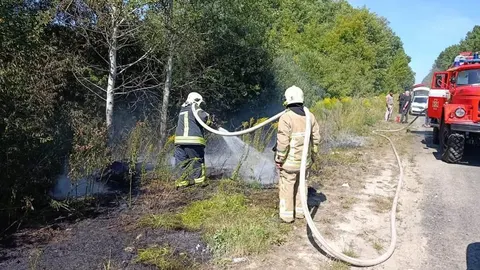На Волині за добу сталося 7 пожеж: вигоріло понад 6 га сухостою