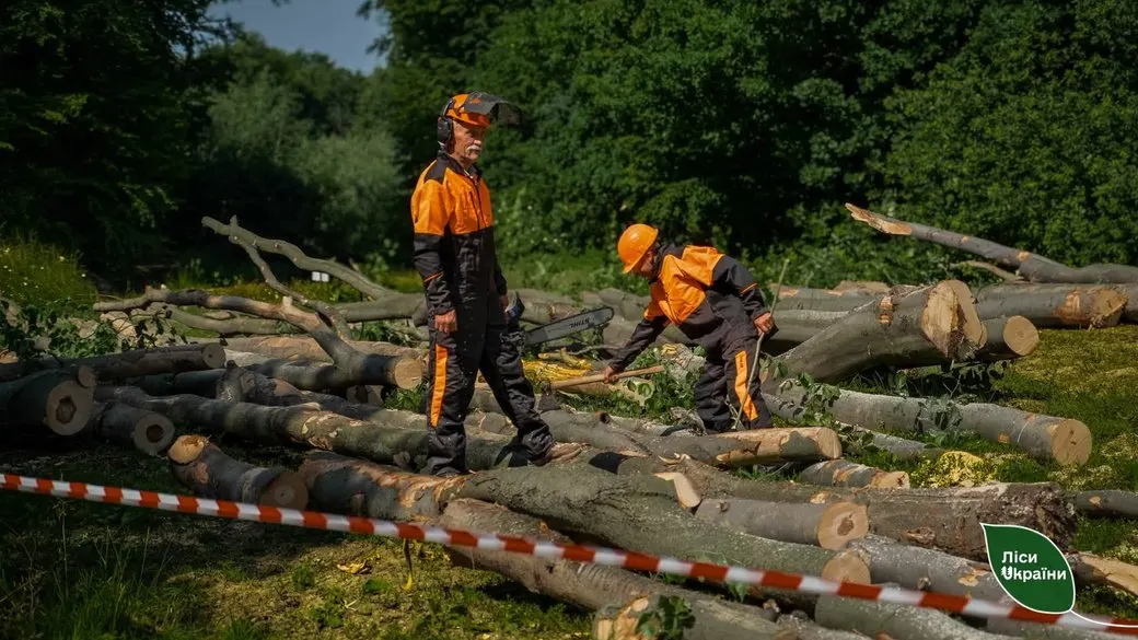 Дрова на Рівненщині та Волині: попит зріс удвічі, ціни майже не змінилися
