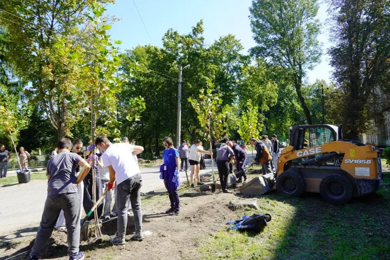У Хотині висадили алею екзотичних дерев: що це змінює для міста