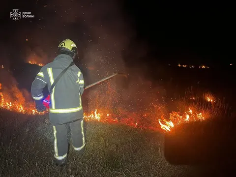 Вісім пожеж за два дні: на Волині вогонь охопив майже 6 гектарів