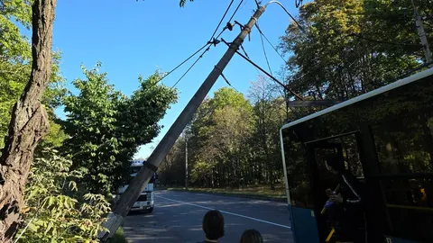 У Вінниці через аварію на контактній мережі зупинили чотири тролейбусні маршрути