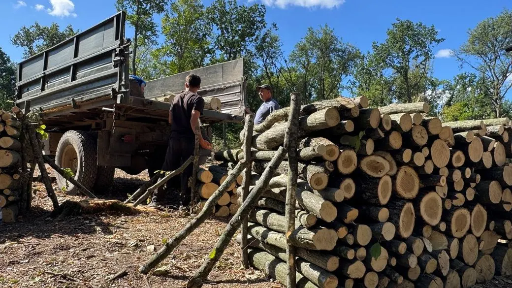 Дрова на Черкащині: ціни, попит і як грітися, якщо зникне газ