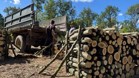 Дрова на Черкащині: ціни, попит і як грітися, якщо зникне газ