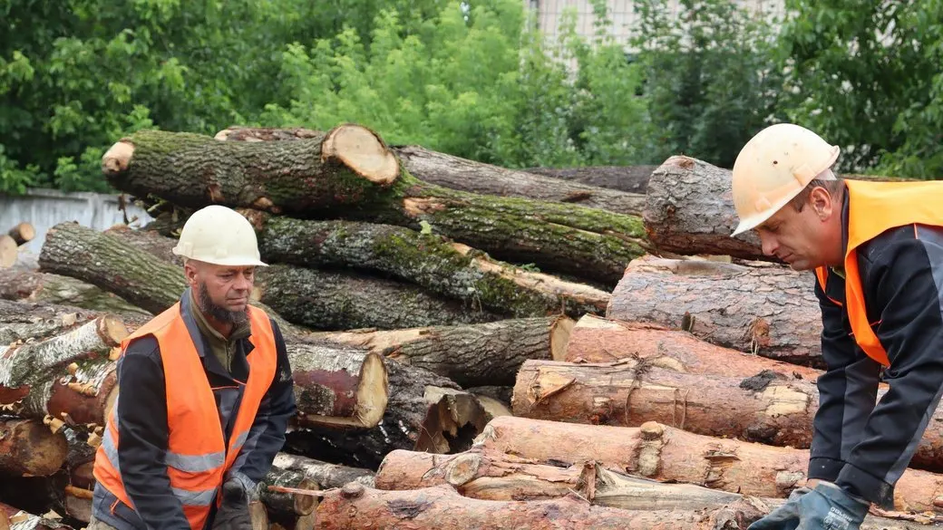 На Хмельниччині попит на дрова зріс у півтора раза: що це означає