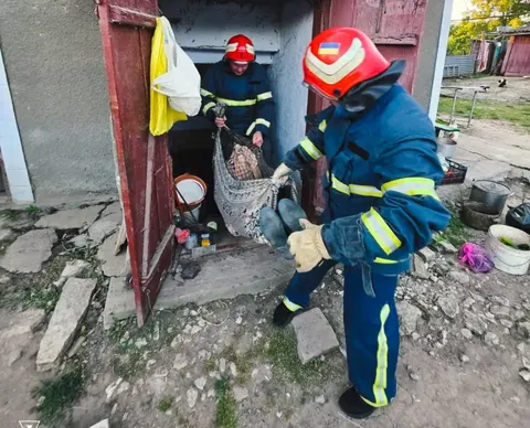 Рятувальники Буковини визволили хворого з підвалу